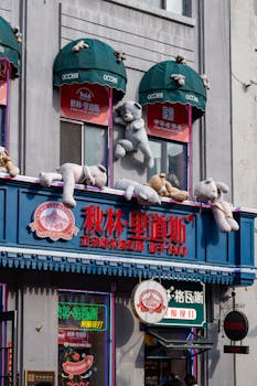 埃及旅游业强劲反弹,埃及做对了什么。 文化旅游 埃及旅游业强劲反弹,埃及做对了什么。 文化旅游