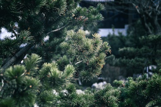 黄涛资本征途八年回顾:从智慧交通到生物医药,世纪金源系版图持续壮大。 股票财经
