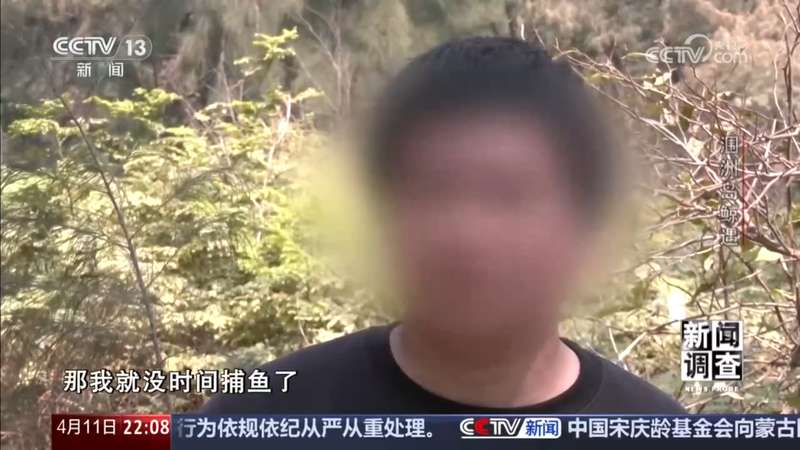 涠洲岛“刀疤哥”撞击事件深度复盘:技术、法律与生态的三维审视 新闻 涠洲岛“刀疤哥”撞击事件深度复盘:技术、法律与生态的三维审视 新闻 涠洲岛“刀疤哥”撞击事件深度复盘:技术、法律与生态的三维审视 新闻