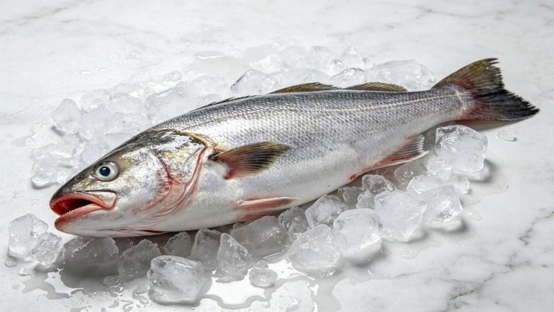 深海鱼类Omega-3效能评测:真鳕鱼、三文鱼与大黄鱼的营养数据深度解析 健康养生 深海鱼类Omega-3效能评测:真鳕鱼、三文鱼与大黄鱼的营养数据深度解析 健康养生