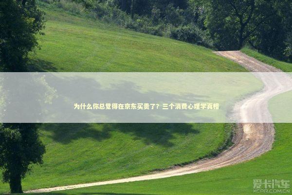 为什么你总觉得在京东买贵了?三个消费心理学真相 为什么你总觉得在京东买贵了?三个消费心理学真相 股票财经