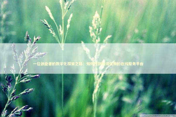 一位创业者的数字化探索之路：如何找到值得信赖的在线服务平台