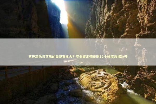 万元高仿与正品的差距有多大?专业鉴定师亲测12个维度数据公开 万元高仿与正品的差距有多大?专业鉴定师亲测12个维度数据公开 时尚用品